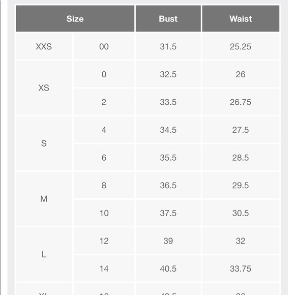 * SOLD* LSF x Target Celeste Smocked Puff Dress - Picture 7 of 7